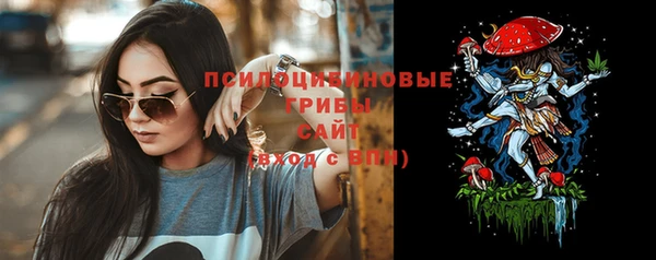 гашик Снежногорск
