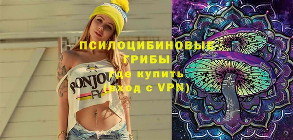 гашик Снежногорск