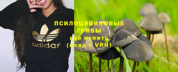 apvp Снежинск