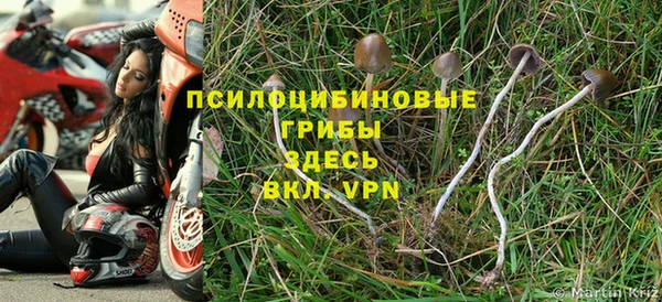 apvp Снежинск