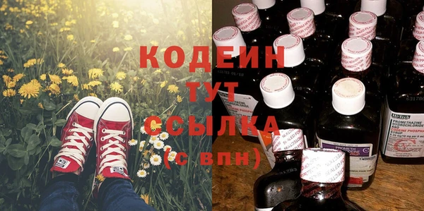 гашик Снежногорск