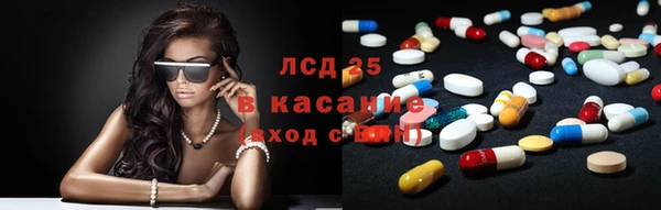 гашик Снежногорск