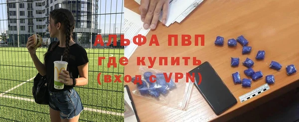 гашик Снежногорск