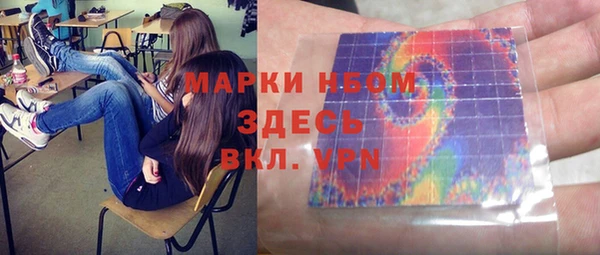 гашик Снежногорск