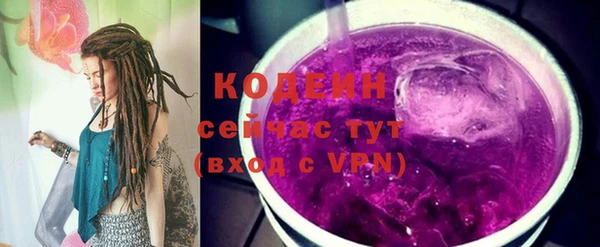 гашик Снежногорск